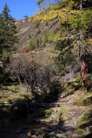 Kaltherbergalm knallstein 36349 2011-10-18.jpg