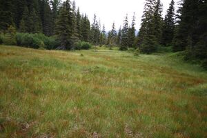 Knallkar großsölk 55652 2016-08-17.jpg