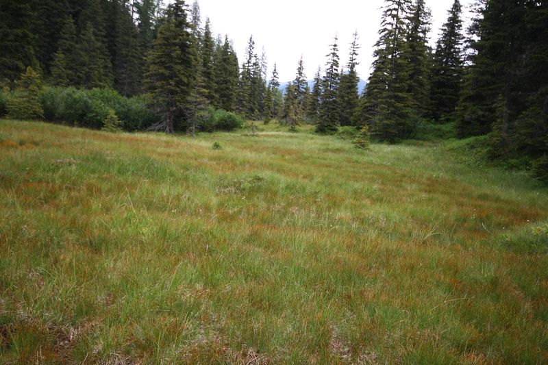 Datei:Knallkar großsölk 55652 2016-08-17.jpg