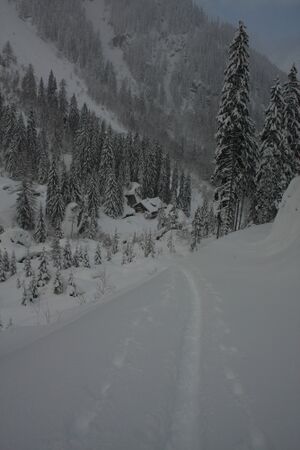 Lackneralm 2017 2012-01-25.jpg