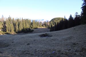 Langmoosalm kainisch 91416 2018-11-17.jpg