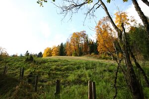 Reitbauer rössing 05752 2015-10-09.jpg