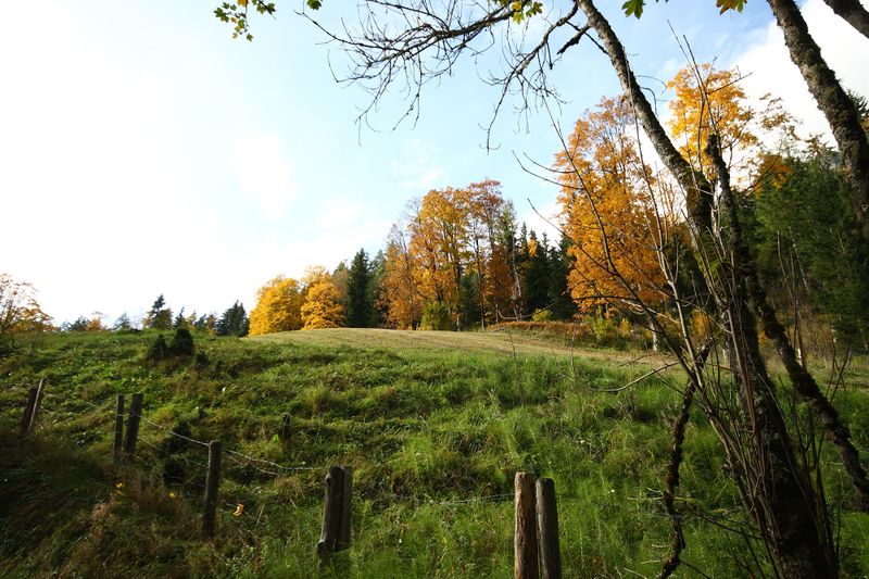 Datei:Reitbauer rössing 05752 2015-10-09.jpg