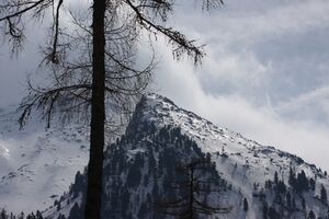 Schattenkogel -beireutalm 20511 2016-03-30.jpg