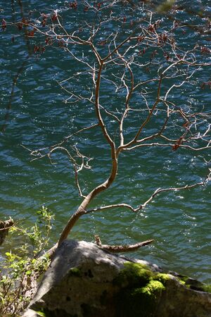 Schwarzensee kleinsölk 72561 2014-09-17.jpg