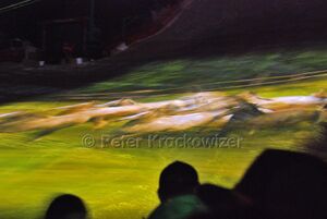Ski WM 2013 Schladming Eroeffnung 037.jpg