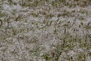 Striegler kleinsölk 54051 2017-07-21.jpg