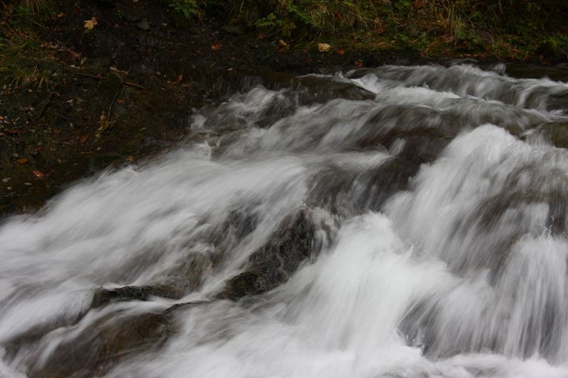 Datei:Teufelsschlucht Seewigtal 73459 2014-10-02.jpg