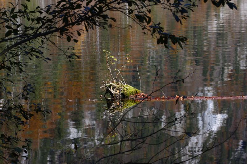 Datei:Toplitzsee 77762 2014-11-03.jpg