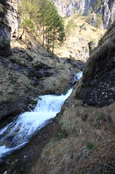 Datei:Wasserlochklamm palfau 70320 2018-04-23.jpg