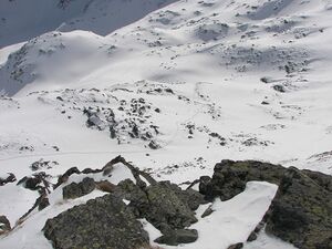 Wildkar 2449 2007-03-05.jpg