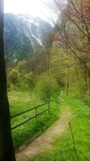 20170501 134346 (2).jpg