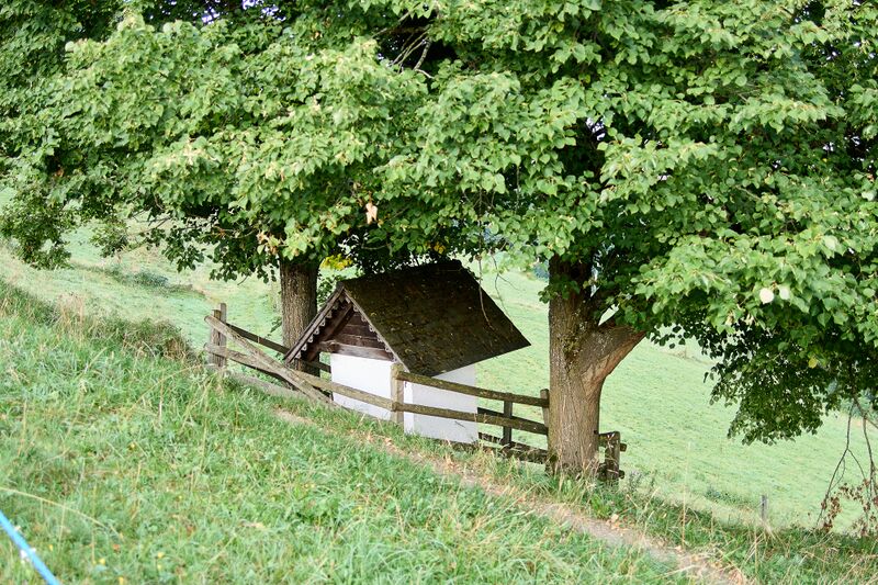 Datei:BST murberger öblarn-0184-2023-08-26.jpg