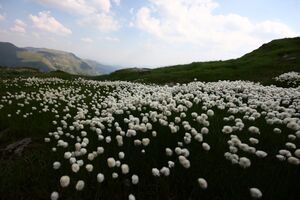 Beim wildsee 1369 13-08-06.jpg