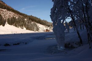 Bodensee 26611 2014-01-01.jpg