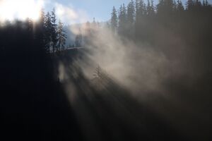 Bodensee 30270 2011-08-02.jpg
