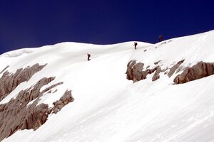 Gosaugletscher 47090 2006-03-20.jpg