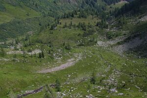 Herzmaierkar 32498 2011-07-06.jpg