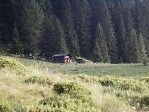 Im herzmeierkar 15459 2005-07-20.jpg