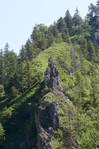 Kohlergrat unterlaussa-0389-2025-06-18.jpg