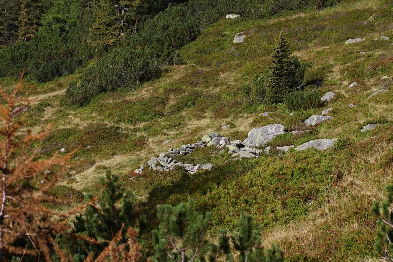 Datei:Lassachalm (Alm) 02504 2015-08-28.jpg