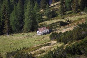 Lassachalm (Alm) 02550 2015-08-28.jpg