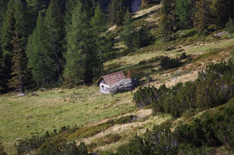 Datei:Lassachalm (Alm) 02550 2015-08-28.jpg