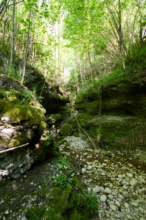 ND 356 Teichenbach Unterkainisch-0238-2025-05-01.jpg