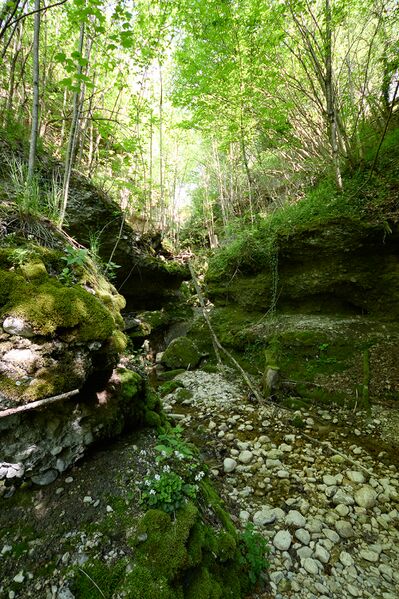 Datei:ND 356 Teichenbach Unterkainisch-0238-2025-05-01.jpg