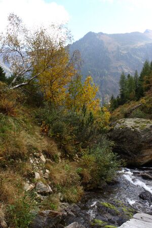 Säusenbach kleinsölk 73642 2014-10-03.jpg