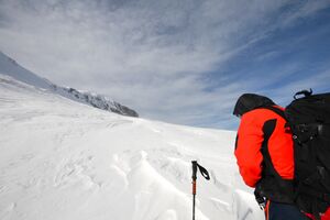 Salzofen 2483 2008-02-04.jpg