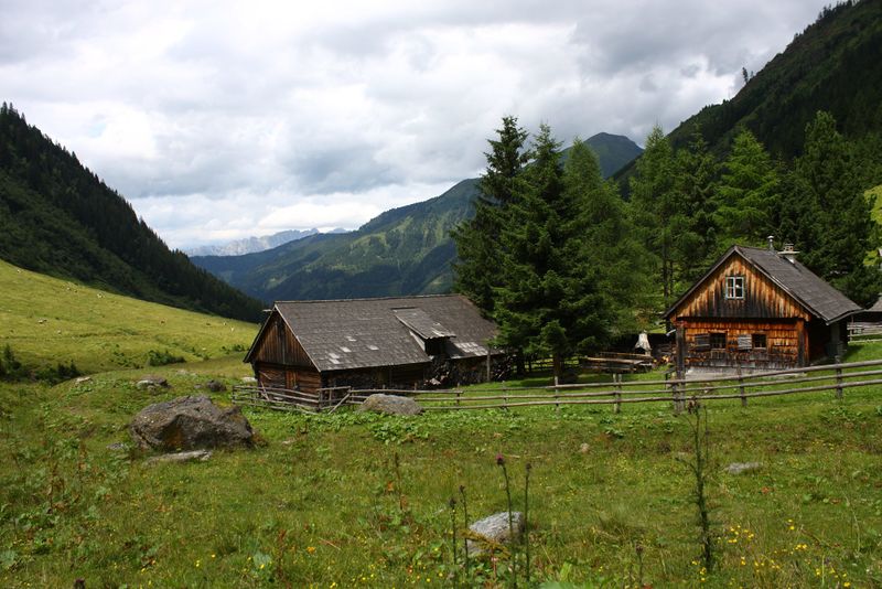 Datei:Strickeralm großsölk 00693 2015-07-09.jpg