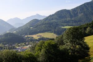 Unt-oberer zinödlbauer-30-2025-06-18.jpg