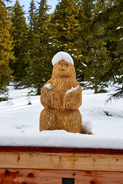 Datei:Waldwegerl planai-0063-2023-05-19.jpg