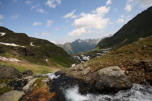 Wildkar 1994 2008-06-26.jpg