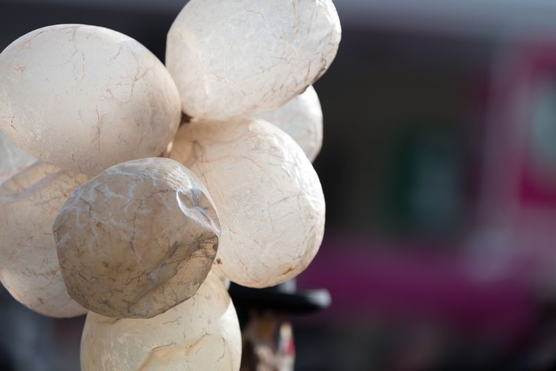 Datei:2018-02-13 DSC0829.jpg