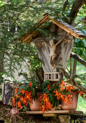 BST vlg Kreil hinterwald-34-2025-07-02.jpg