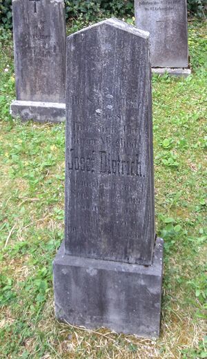 Dietrich josef-3100-2018-04-23.jpg