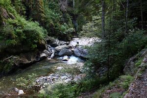 Donnersbachklamm 72868 2014-06-18.jpg