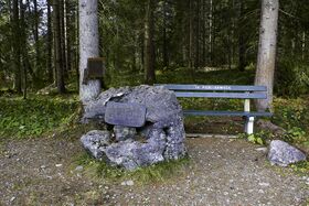 GT herbert Zand knoppenmoos-0315-2021-10-30.jpg