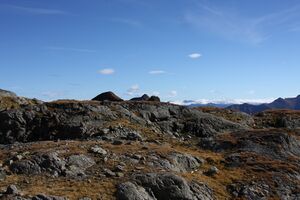 Goldlacken 0369 2013-10-08.jpg