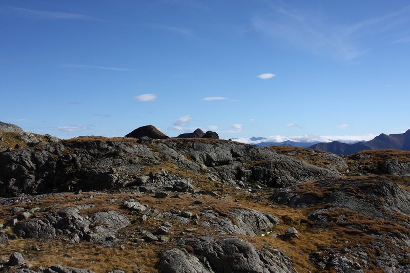 Datei:Goldlacken 0369 2013-10-08.jpg