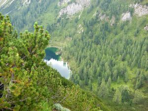 Grafenbergsee 20130815a.jpg