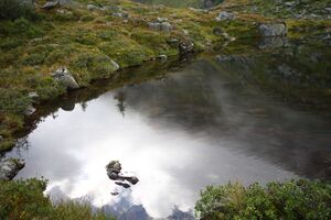 Griegelsee großsölk 71605 2014-09-16.jpg
