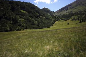 Gumpenkar 53170 2017-07-05.jpg