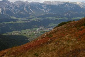 Guschen 20075 2007-09-28.jpg