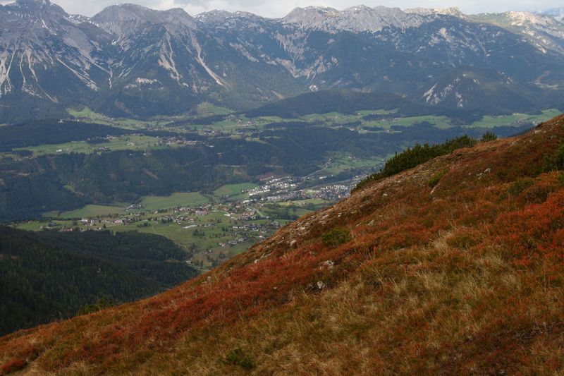 Datei:Guschen 20075 2007-09-28.jpg