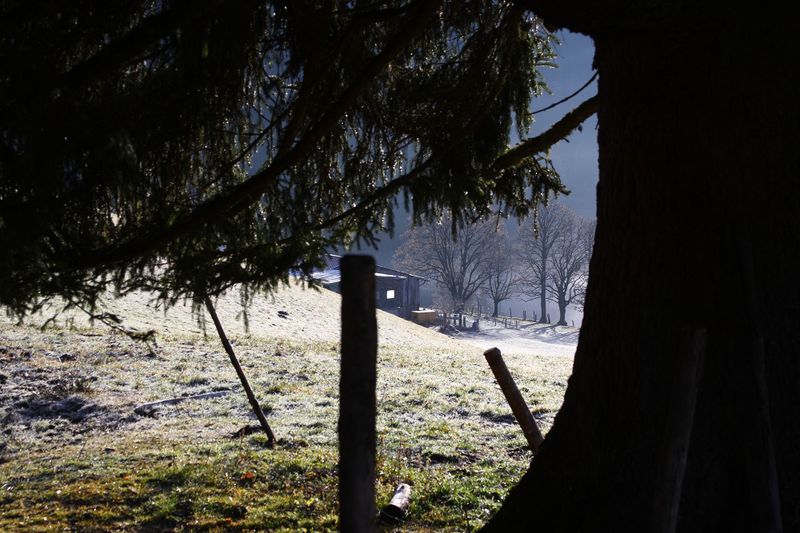 Datei:Halseralm-rittis 79997 2014-12-05.jpg