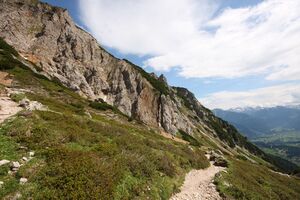 Im tiefkar 25253 2009-07-02.jpg