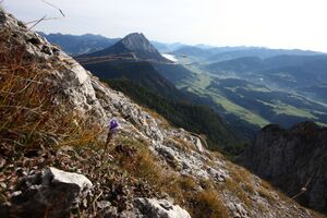 Kammspitze0095.jpg
